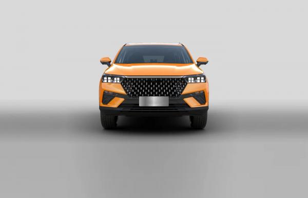 Кроссовер X-Cross&nbsp5
