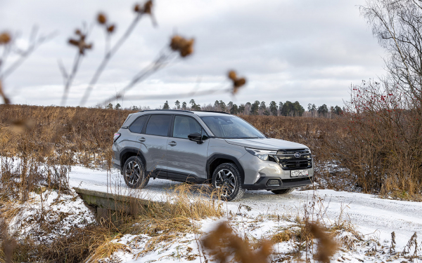 Егерь из барбершопа. Первый тест Subaru Forester нового поколения
Егерь из барбершопа. Первый тест Subaru Forester нового поколения